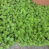 ���i�̏ڍ�