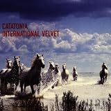 International Velvet