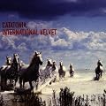 International Velvet
