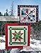 Big Block Quilts: Using Layer Cakes, Sweet 16s, etc!