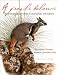 A Fragile Balance: The Extraordinary Story of Australian Marsupials by Christopher Dickman