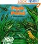 Peek at a Pond (Lift the Flap Book)
