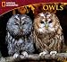 2012 Owls - National Geographic Wall calendar