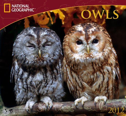2012 Owls - National Wall calendar