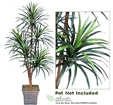 One 6' Yucca Artificial Trees with 5 Heads, with No Pot,