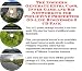 The Insider's Generate Extra Cash, Inner Game and Biz Networking for Philippine Properties On-line Businesses 3 CD Pack
