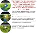 Book The Guru's Promotion, Success Principles and Inner Game for Wedding Dresses On-line Businesses 3 CD Course