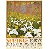 SPRING IN THE DUNES FLOWERS BY SOUTH SHORE LINE CHICAGO ILLINOIS VINTAGE POSTER REPRO
