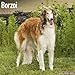 Borzoi Calendar - Breed Specific Borzoi Calendar - 2015 Wall calendars - Dog Calendars - Monthly Wall Calendar by Avonside