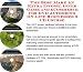 Book The Best Make An Extra Income, Inner Game and eCommerce for DVD Authoring On-line Businesses 3 CD Course
