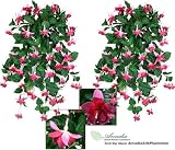 TWO 35" Artificial Fuchsia Hanging Flower Bushes, with No Pot,