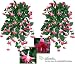 TWO 35" Artificial Fuchsia Hanging Flower Bushes, with No Pot,