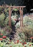  : Cedar Westport Arbor