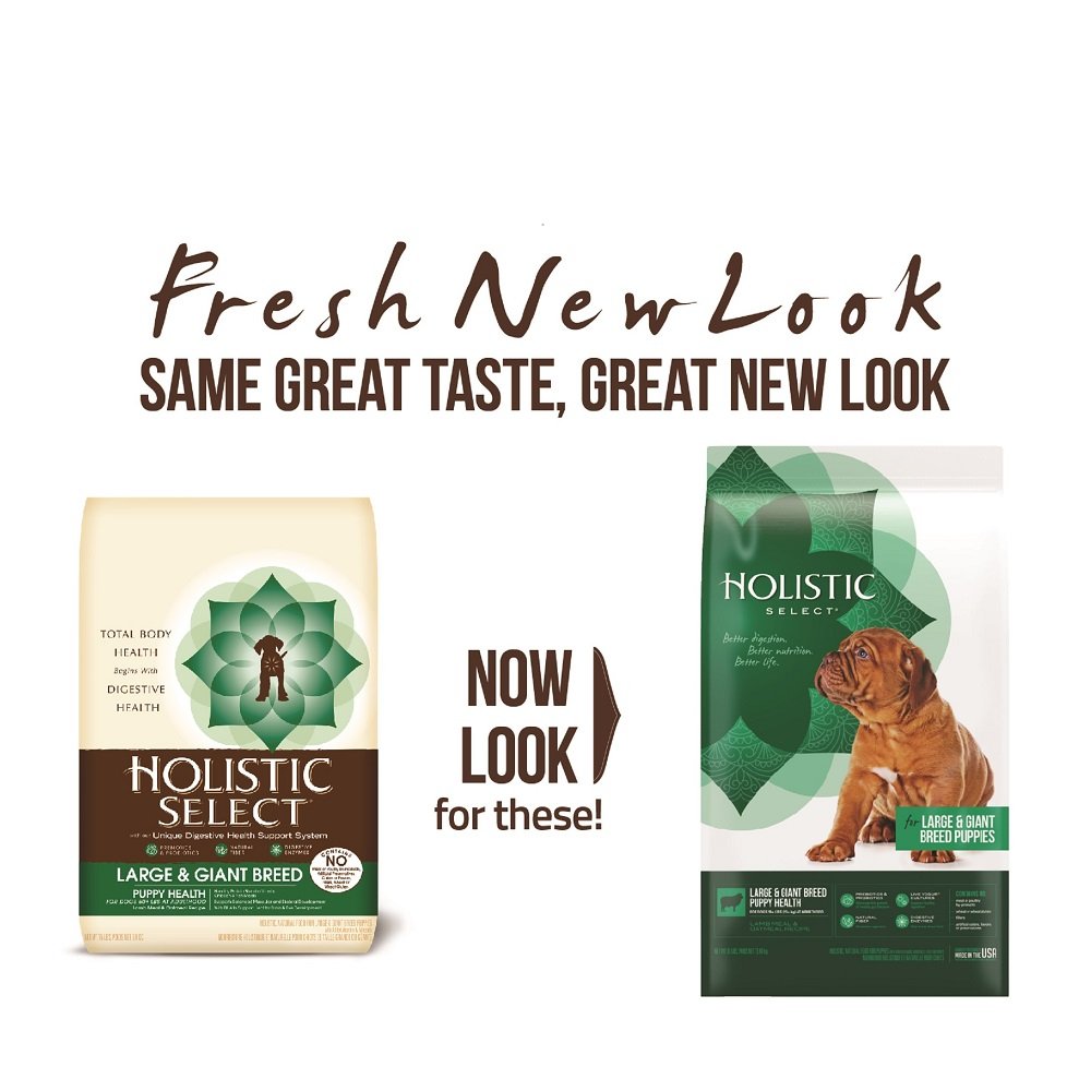 Best Dog Food For Dobermans What To Feed Doberman Pinschers? The Pet Town