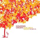 Films About Ghosts (The Best Of Counting Crows)