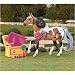 Reeves (Bryer) Int'l Pony Gals Chloe
