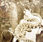 Catedral 【通常盤(限定生産)】(在庫あり。)