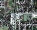 Chicot County Arkansas Aerial Photography on CD