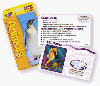 Childrens Toyshop  Toys : TEPT23017 - Pocket Flash Cards, 2 Sided, Animals, 56/Ct, 3-1/4x5-1/4