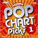 Zoom Karaoke CD+G - Pop Chart Picks 1 - 19 Tracks [Card Wallet]
