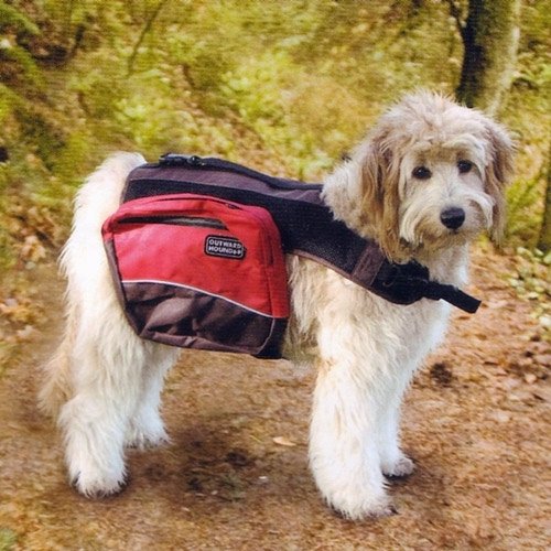 Kyjen Outward Hound Excursion Dog Backpack, Medium, 