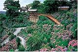 1000ピース あじさい咲く善峯寺 1000-602