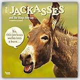 Jackasses 2016 Square 12x12