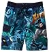 Search : Batman Boys 2-7 Swim Short