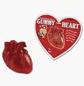 Anatomical Gummy Heart