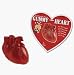 Anatomical Gummy Heart