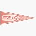 2 Seattle Seahawks Pink NFL Wholesale Team Pennants