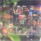 LA ZU ANIMAL KINGDOM