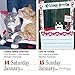 365 Cats 2017 Color Page-A-Day Calendar