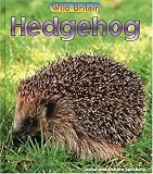 Hedgehog (Wild Britain Animals)