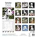 Dalmatian Puppies Calendar - Breed Specific Dalmatian Puppies Calendar - 2015 Wall calendars - Dog Calendars - Monthly Wall Calendar by Avonside