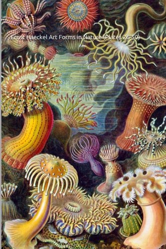 Ernst Haeckel Art Forms in Nature (Plates 26-50): (Introductions to Art) 25 Full Color Prints