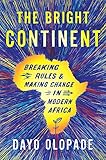 The Bright Continent: Breaking Rules and Making Change in Modern Africa