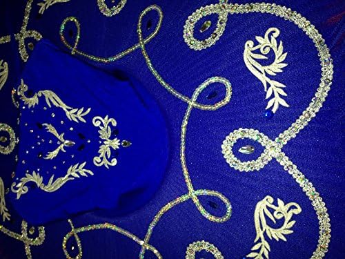 Benefis Girl's Professional Ballet Tutu F 0013 (14-US) S