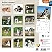Alaskan Malamutes 2015 Calendar