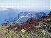 Jigsaw of VENEZUELA - view of Mount Weiassipu from Ardea
