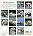 Sea Otters 2016 Calendar