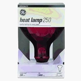 Heat Lamp