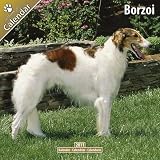 Kalender 2011 Borzoi - Barsoi