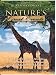 Nature's Great Events: The Family Life of Animals: The Wonders of Life's Beginnings