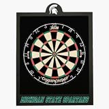 Michigan State Spartans Dart Backboard