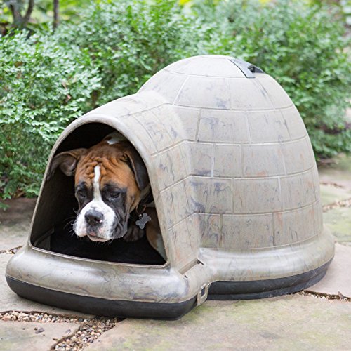Petmate Indigo Dog House, Camo/Black, 90125 lb Animals Supplies Supplies Supplies Houses