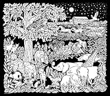 Noah's Night Sky - 23x20 Fuzzy Velvet Coloring Poster