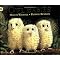 My Fave Childrens Picture Books