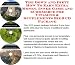 Book The Down and Dirty How To Earn Extra Money, Inner Game and eCommerce for Vitamins & Supplements Biz 3 CD Package
