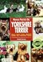 Manual Practico Del Yorkshire Terrier/ Guide to Owning a Yorkshire Terrier (Animales De Compania / Companion Animals) (Spanish Edition)